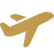 icons8-plane-100